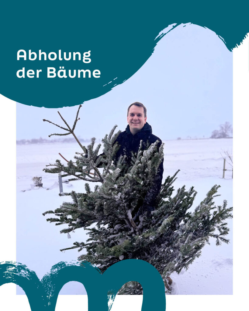 Posts_Booken_2026-01_Weihnachtsbäume