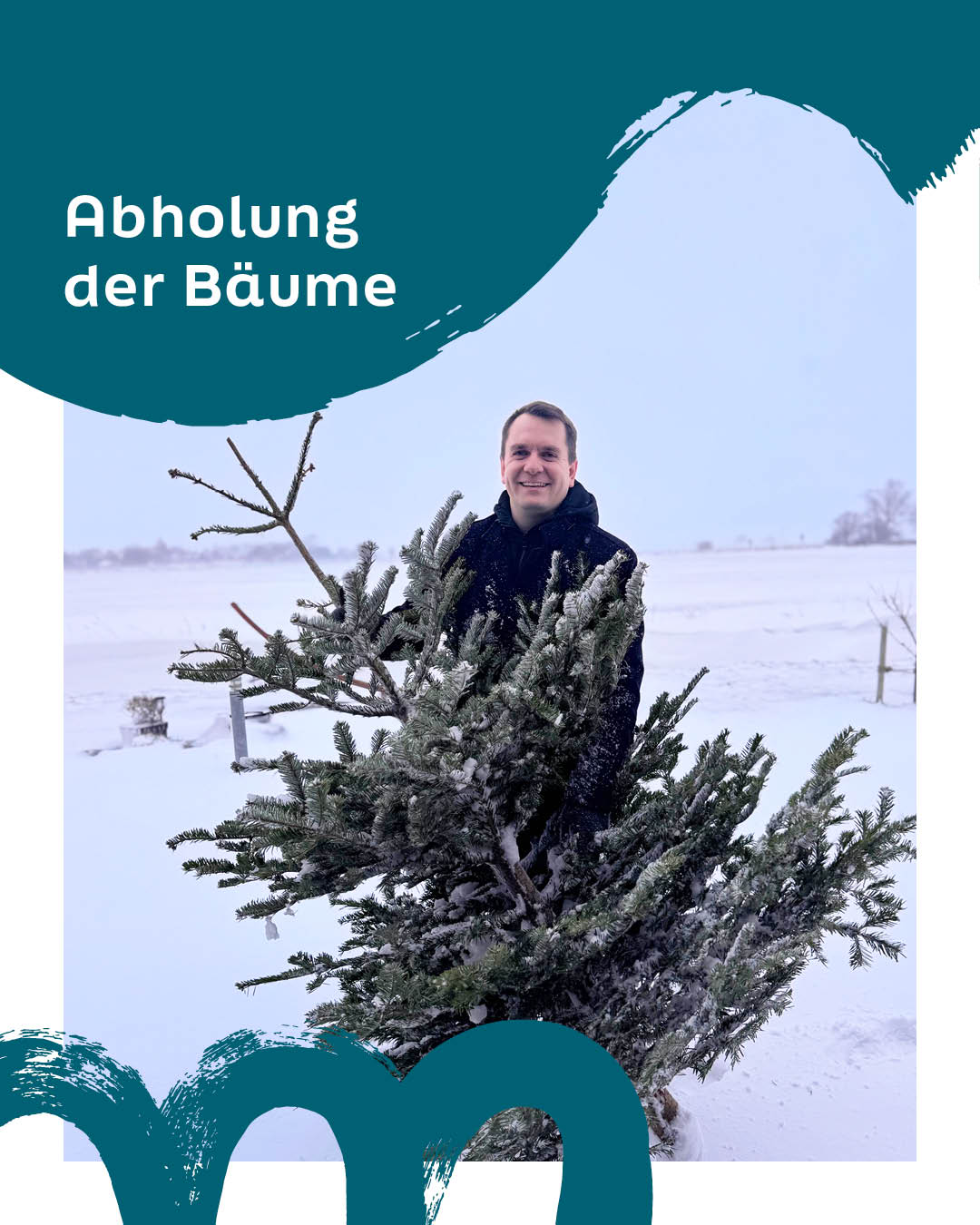 Posts_Booken_2026-01_Weihnachtsbäume