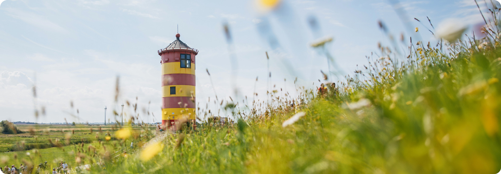 bild_leuchtturm_wiese